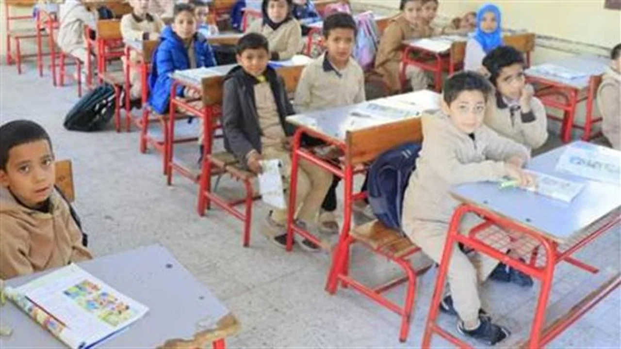 جداول زمنية واضحة.. توقيتات اختبارات صفوف النقل خلال شهري مايو ويونيو